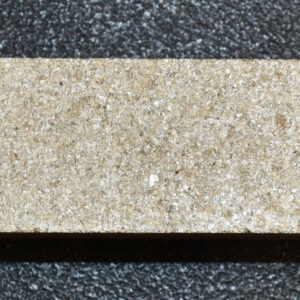 Justus Austin 5 Bodenstein hinten