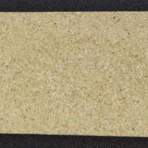 Justus Borkum Bodenstein hinten A